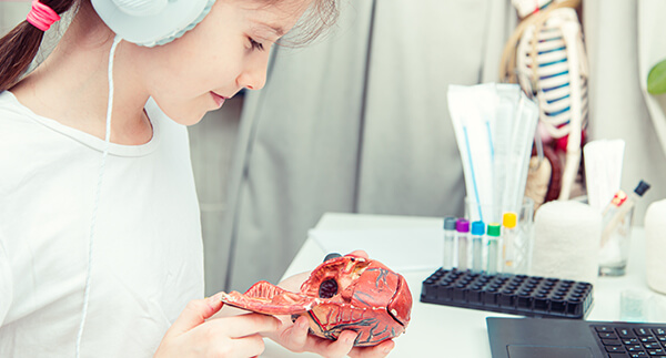 Homeschool student engaged in online STEM biology activity.