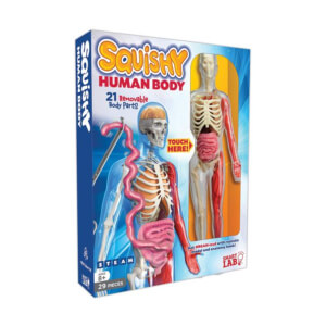 Squishy Human Body Toy